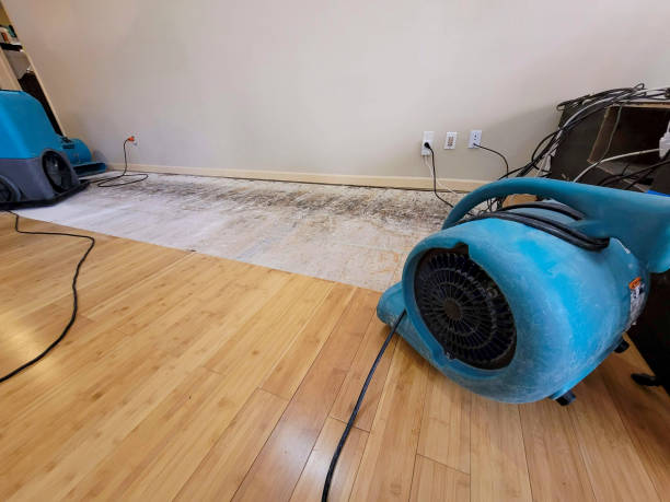 Professional Water Extraction technician working in South Houston, TX